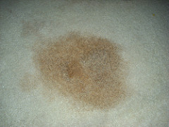 Large stain on bedroom carpet. Looks like Kool-Aid. Possibly from the child that was always in the house when I was there
